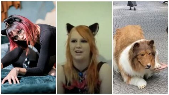 10 people who identify as animals