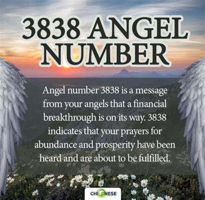 3838 Angel Number
