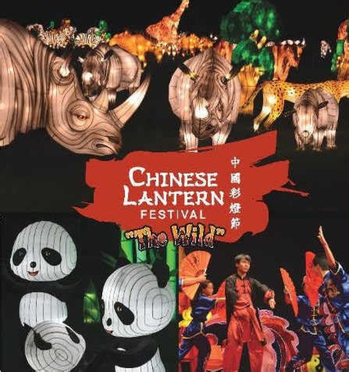 	5 Reasons to attend the Chinese Lantern Festival in Broward	