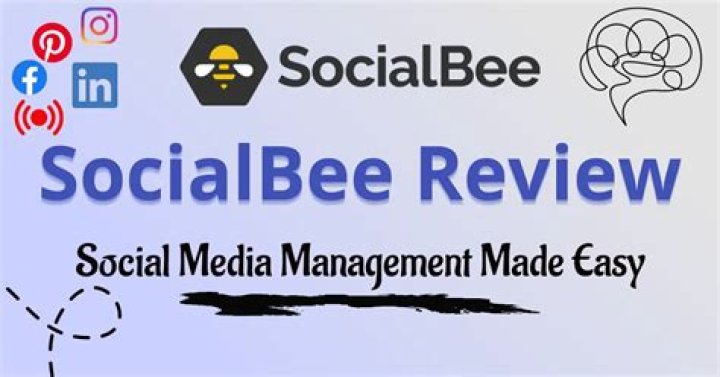 6 Reasons Why You Should Use SocialBee for Social Media Management