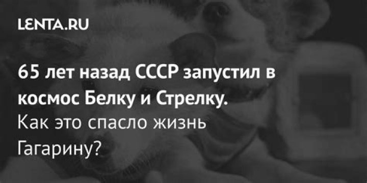 «Вся верхушка правительства восстала» 65 лет назад сталинисты попытались лишить Хрущева власти. Как ему удалось победить?: Политика: Россия: Lenta.ru