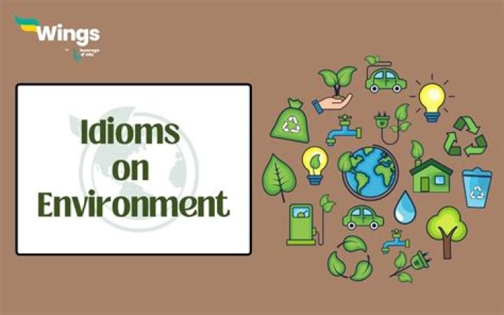 7 English idioms about the environment that set alarm bells ringing on Earth Hour - YP