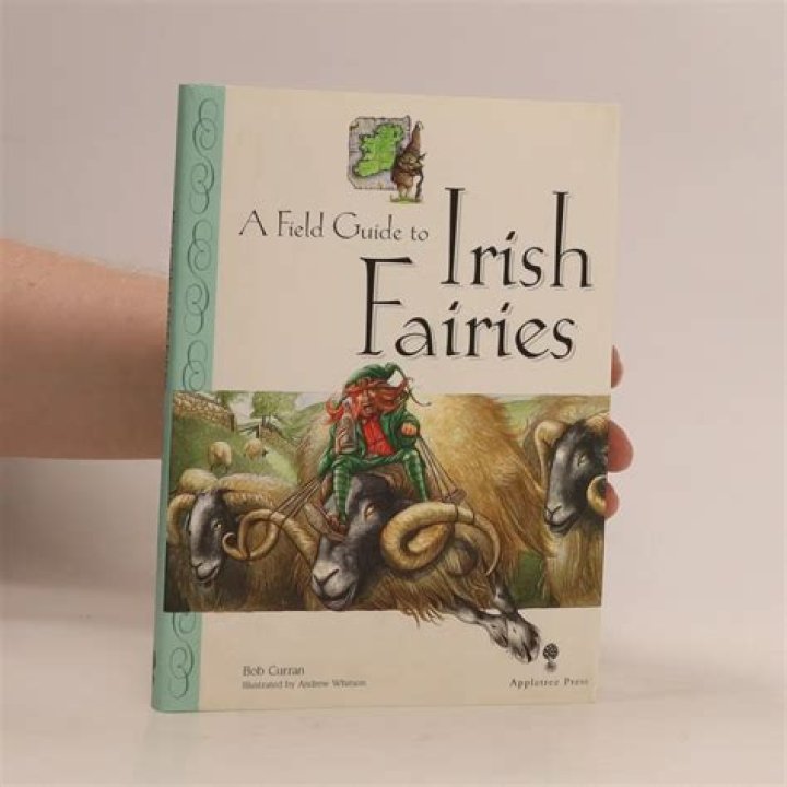 	A field guide to Irish punk	