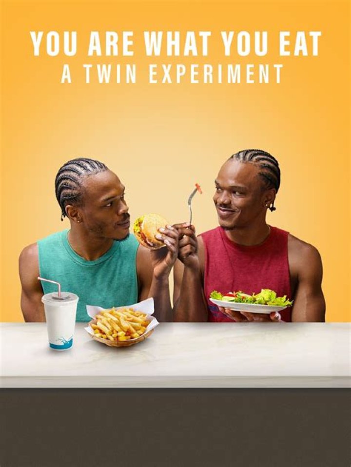 A Twin Experiment Bias? Propaganda Explained