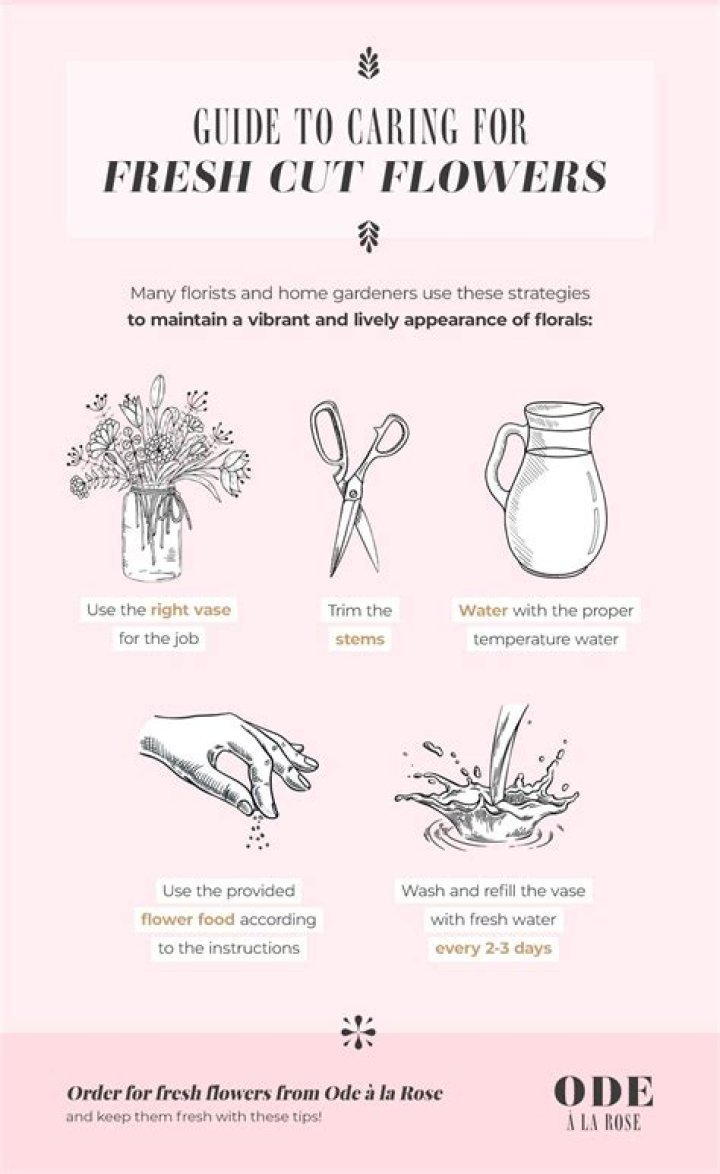 	Add sugar to water and other tips for cut flower care	