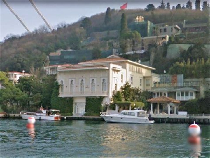 Ali Koç Vermögen