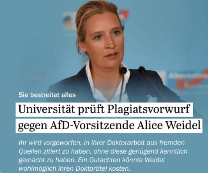 Alice Weidel Vermögen