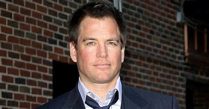 All About American Actor Michael Weatherly's Professional Life: His Salary Per Movie & Net Worth