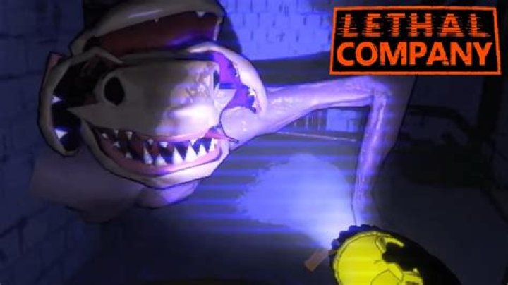 All items in Lethal Company & what they do