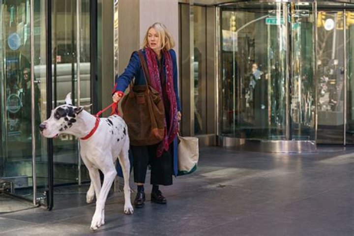 	AN ENHANCED ACTRESS, A SCENE-STEALING DOG	