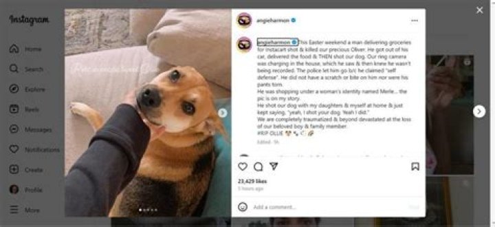 Angie Harmon sues Instacart after delivery driver fatally shoots her dog