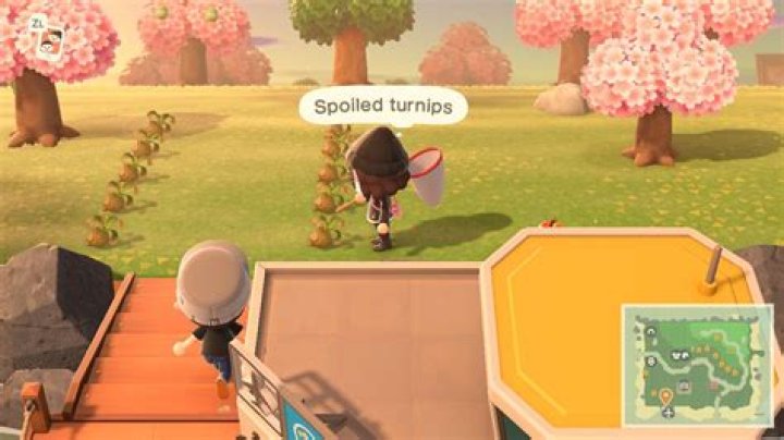 Animal Crossing: New Horizons will spoil turnips if you time travel
