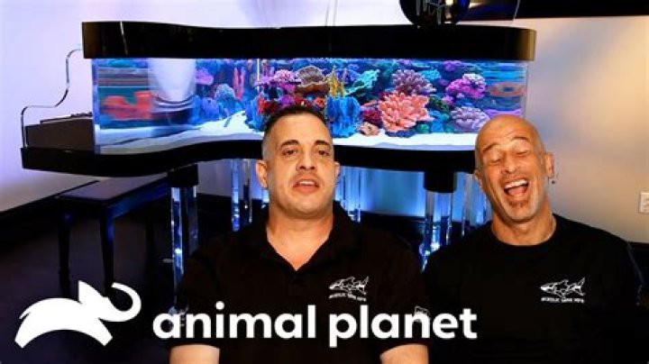 	Animal Planet’s ‘Tanked’ company opens in Fort Lauderdale	