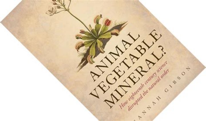 	ANIMAL, VEGETABLE OR MINERAL?	