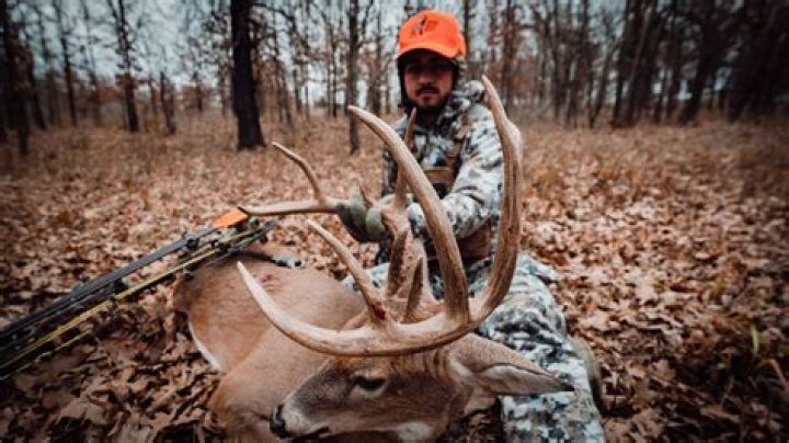 any have any good tips how to do hunting