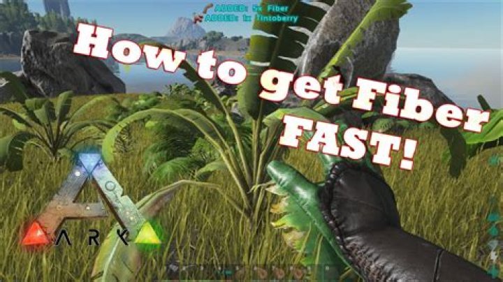 ARK: How to Get Fiber (Survival Evolved)