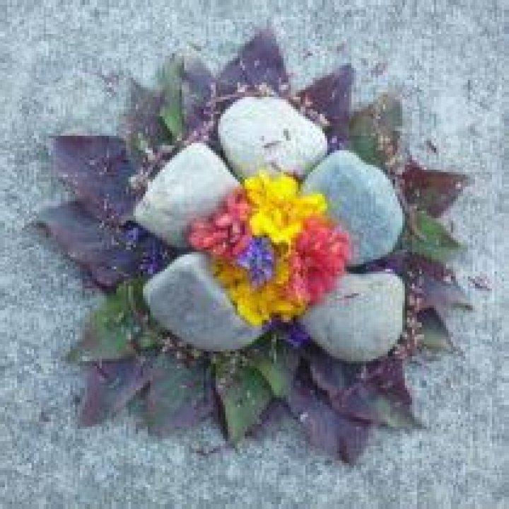 * Art ! * | DonorsChoose