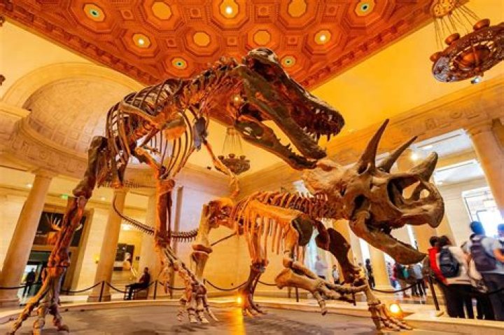 	Attractions & Museums	