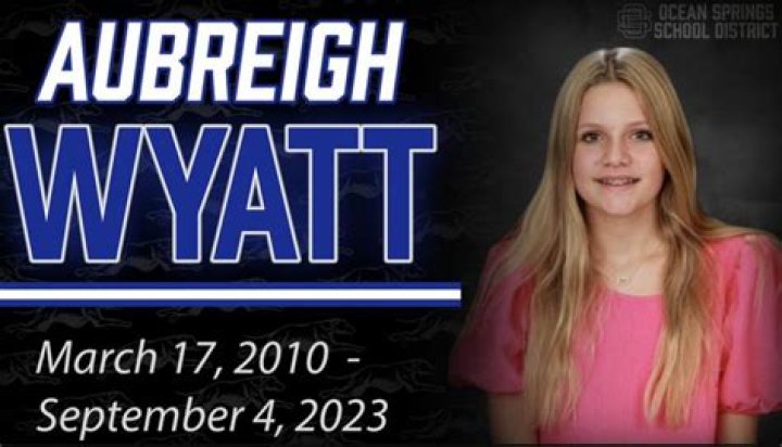 Aubreigh Wyatt: The Bully Of Molly – A Deep Dive Into The Controversy