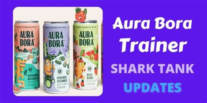 Aura Bora Shark Tank Net Worth 2024