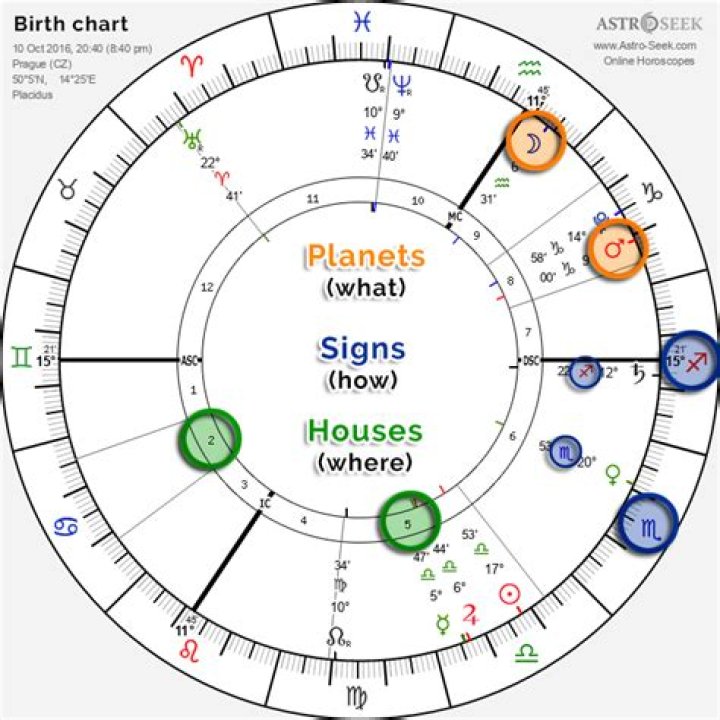 Austin McBroom's Zodiac Chart: A Deep Dive Into His Astrological Profile