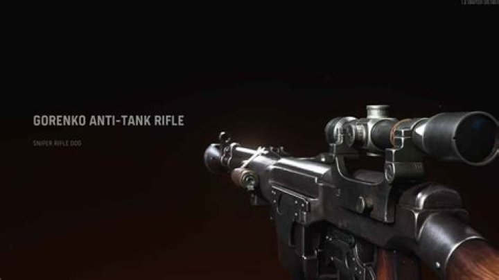 Best Gorenko Warzone loadout: Class setup, Attachments, Perks