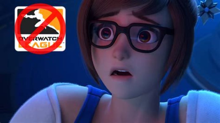 Blizzard finally bans Mei from the Overwatch League – thanks to a cat