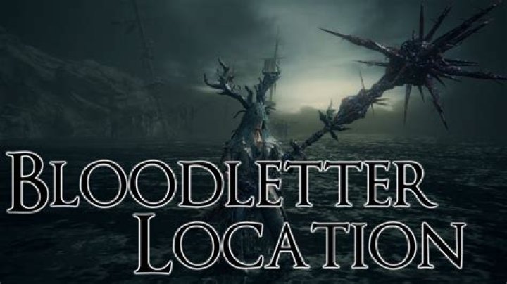 Bloodborne: The Old Hunters – How to Get the Bloodletter
