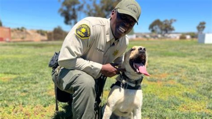 	Broward targets pet breeders	