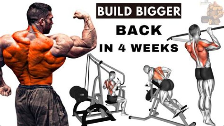 Build A Bigger Back In Four Weeks