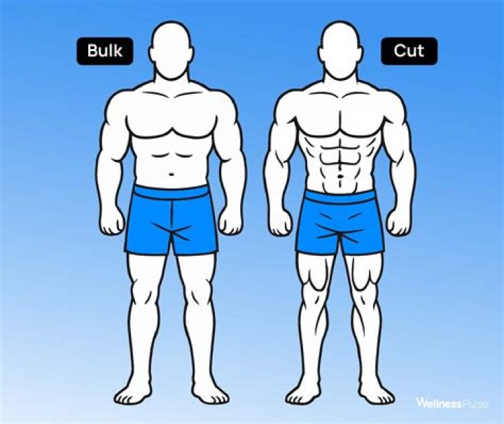 Bulking & Cutting | 3 Tips To Maximise Your Cutting Season