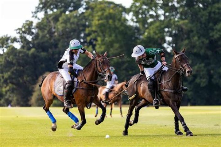 	BUSH’S HOST LOVES HORSES, POLO — AND PRIVACY	
