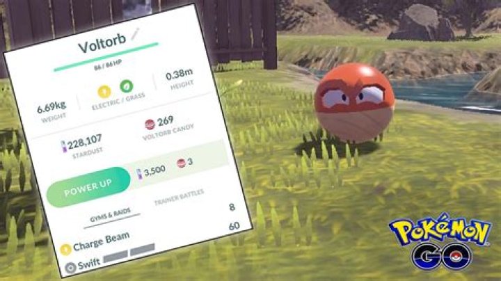 Can you evolve Hisuian Voltorb in Pokemon Go?