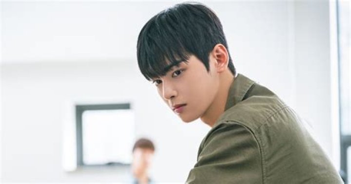 Cha Eun Woo's Impressive Journey Through TV Shows