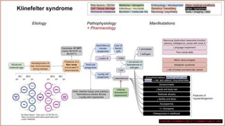 Charles Barkley And Klinefelter Syndrome: Understanding The Connection