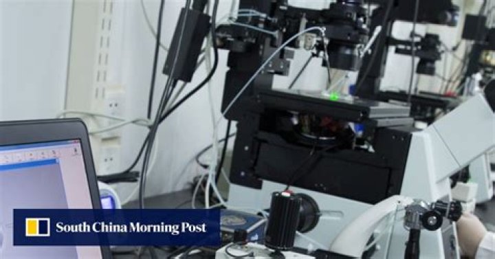 China’s ‘Thousand Talents’ plan key to seizing US expertise, intelligence officials say
