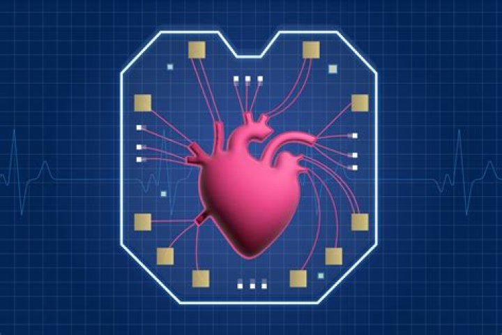 Chip Gaines Heart Attack: Understanding The Truth Behind His Health