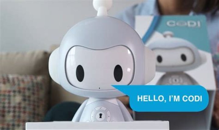 Codi Toy Robot Net Worth | Bio, Family, Address, Career