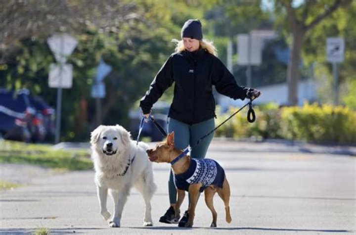 	Cold weather lingers, wind gusts continue, but warm days ahead for South Florida	
