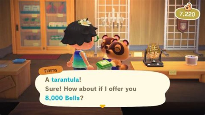 Create a tarantula island to farm Bells in Animal Crossing: New Horizons (Switch)