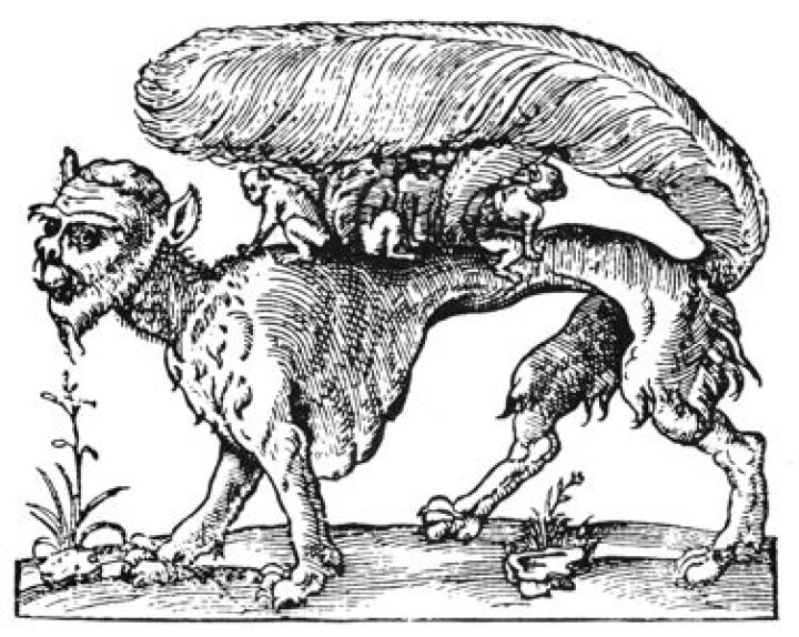 D&D General - Monster ENCyclopedia: Su-monster