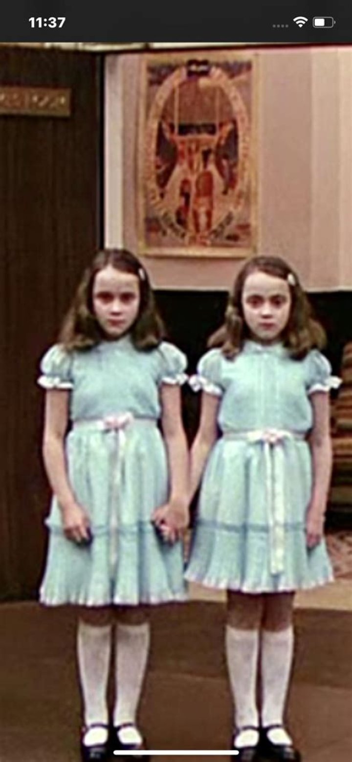 Daryl Hannah's Journey: The Truth Behind The Twins