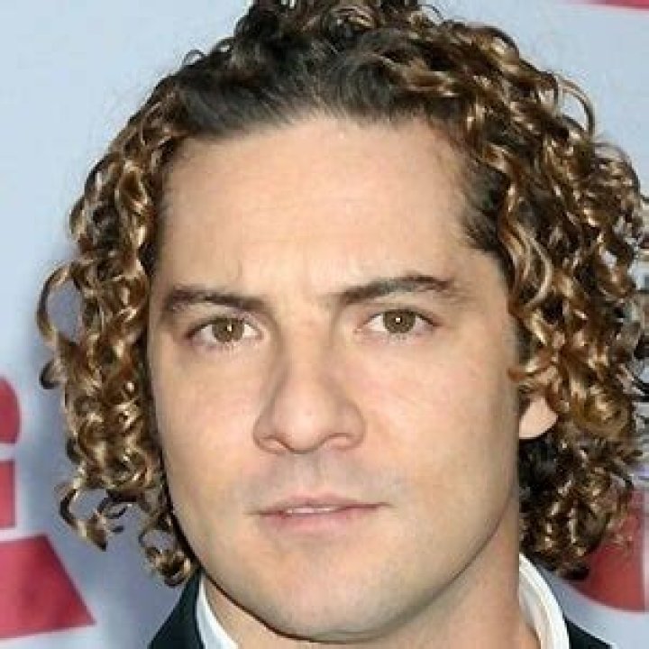 David Bisbal Net Worth | Bio, Family, Address, Career