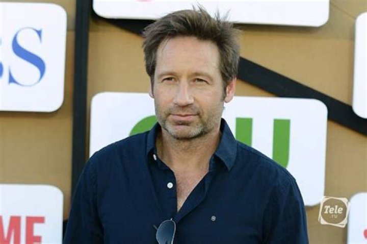 David Duchovny Biography