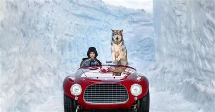 David Yarrow Biography