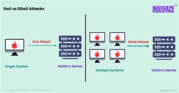DDoS vs. DoS: What Is the Difference?