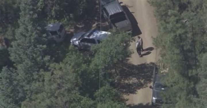 Deadly bear attack in Groom Creek near Prescott: Necropsy conducted, results announced