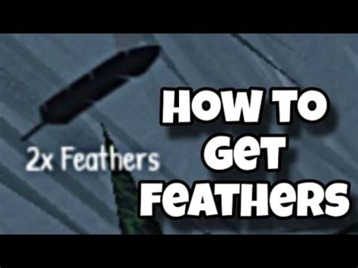 Death’s Gambit: How to Get Feathers Back
