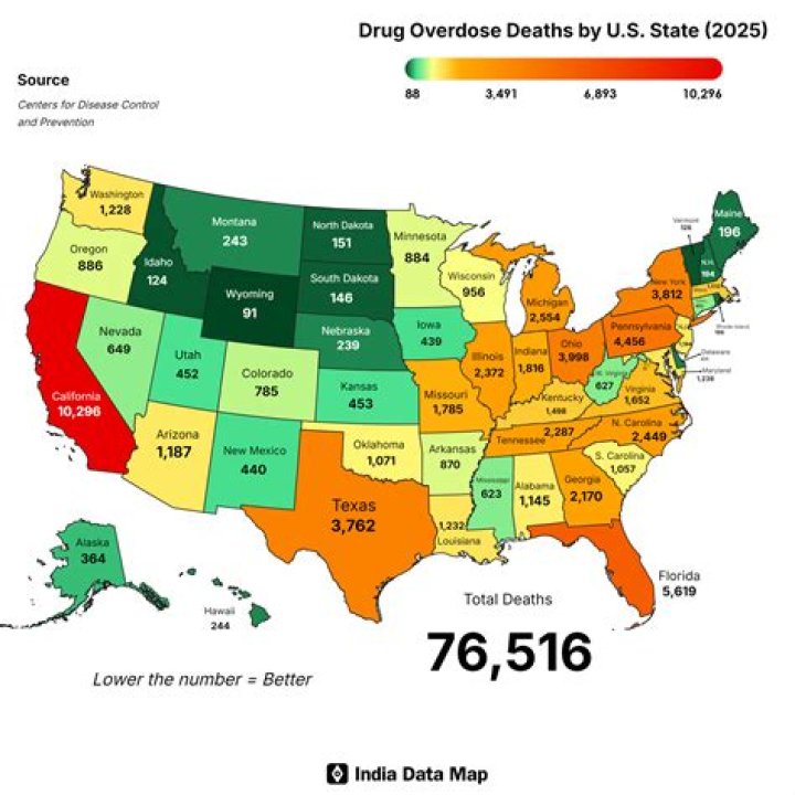 	Deaths in South Florida: 7/21	