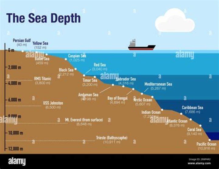 Desiree Cousteau: A Journey Through The Depths Of Ocean Exploration